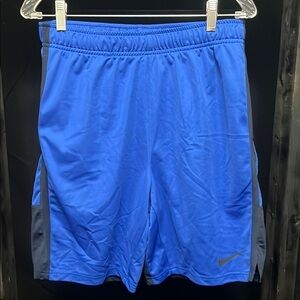 Nike Men's Athletic Shorts in Royal Blue and Navy Blue